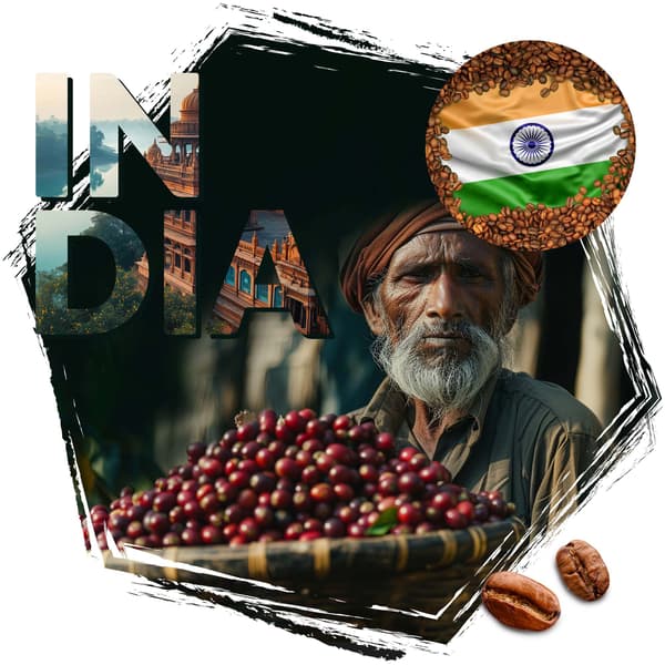 Kaffebönor CAFEIERE Arabica India Monsoon Malabar AA 500 g