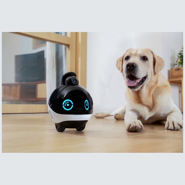 ENABOT EBO X intelligent ledsagerobot