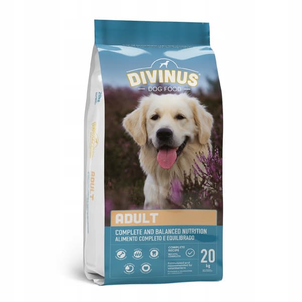 Divinus Adult 20 kg torrfoder för gyllene labradorer