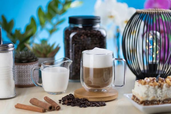 Termosmugg i glas med handtag 300 ml