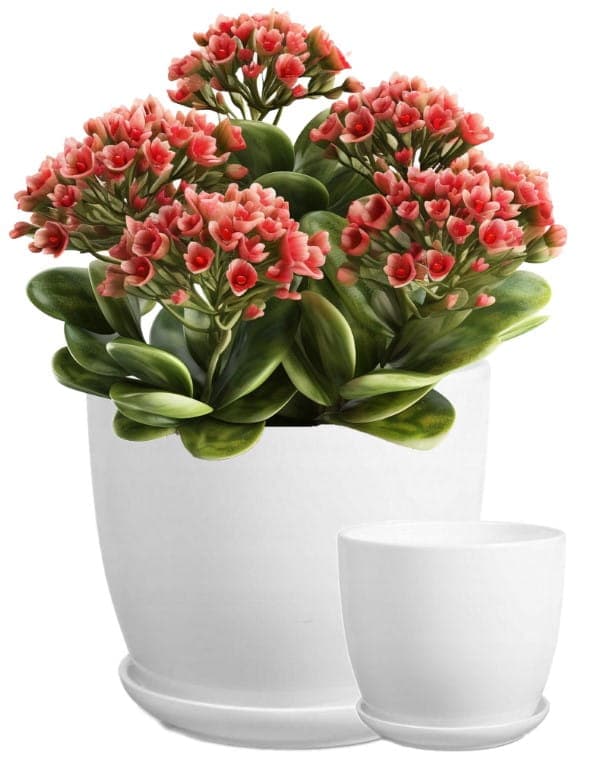 Keramisk blomkruka med fat, vit, 21 cm