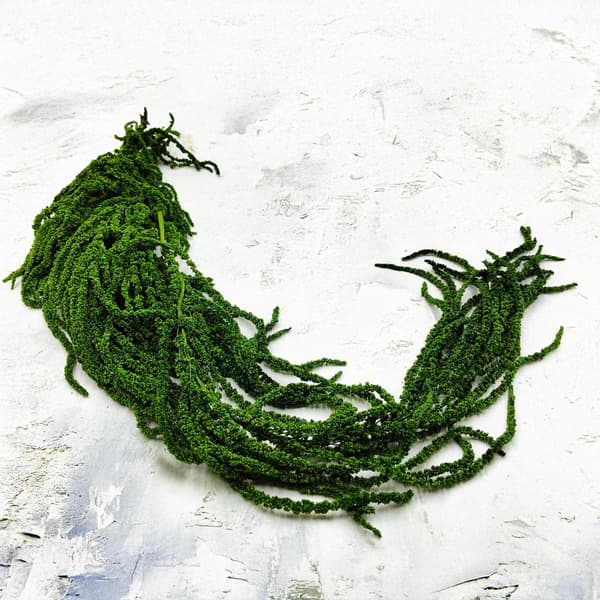 Stabiliseret amarant - Amaranth - Grøn