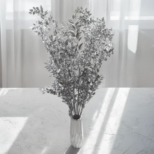 Tørret Ruscus - (Ruscus) - Sølv