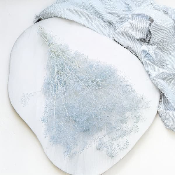 Stabiliseret plaster MINI - (gypsophila) - Blå