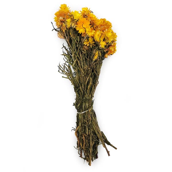 Torkad Helichrysum - (Helichrysum) - Gul