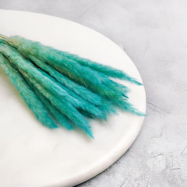 Mini Pampas-ruoho - Azuuri