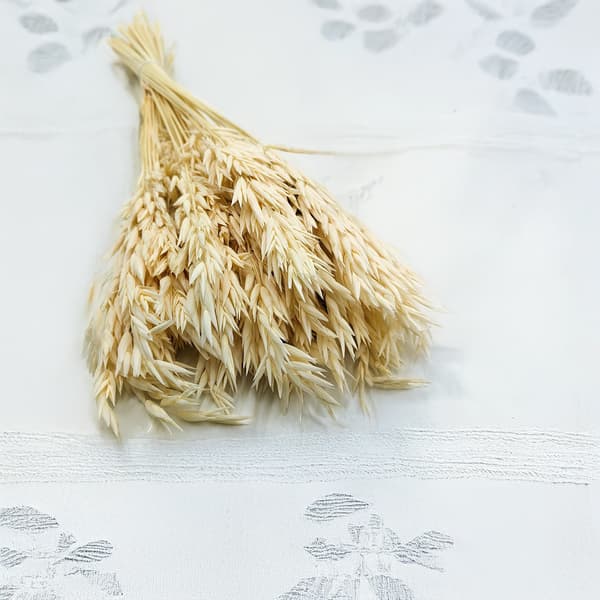Torkad havre - (Avena sativa) - Blekt