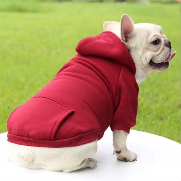 Hundjacka med huva isolerad storlek M
