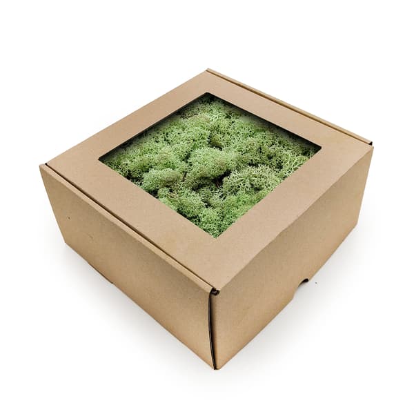 Rensdyrmos - Norge - Mintgrøn 50g NETTO