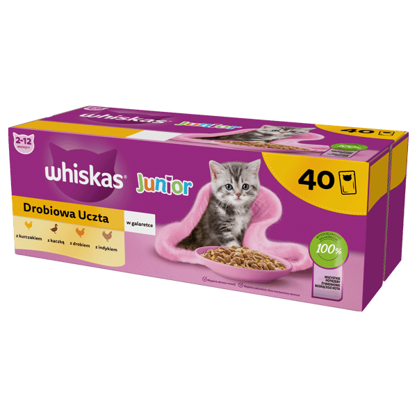 Whiskas Junior Fjäderfä Feast i Gelé 40x 85g