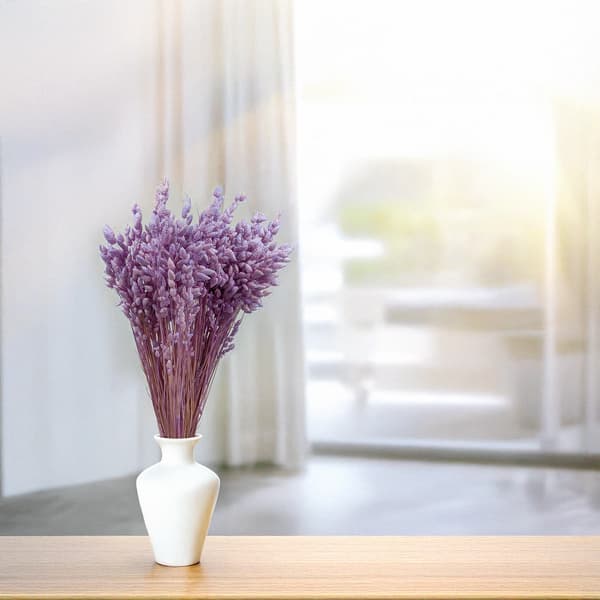 Torkad darrande växt - (Briza Maxima) - Lavendel
