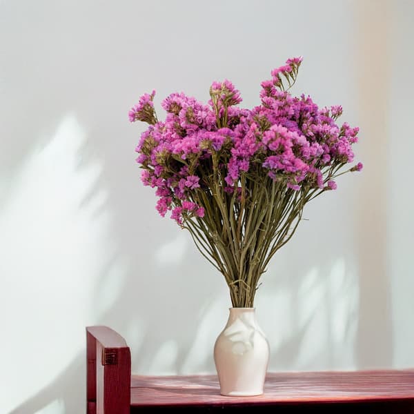 Limonium sinuatum - Vaaleanpunainen
