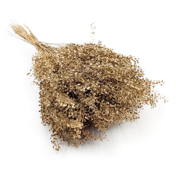 Lepidium (Lepidium sativum) - Kultainen