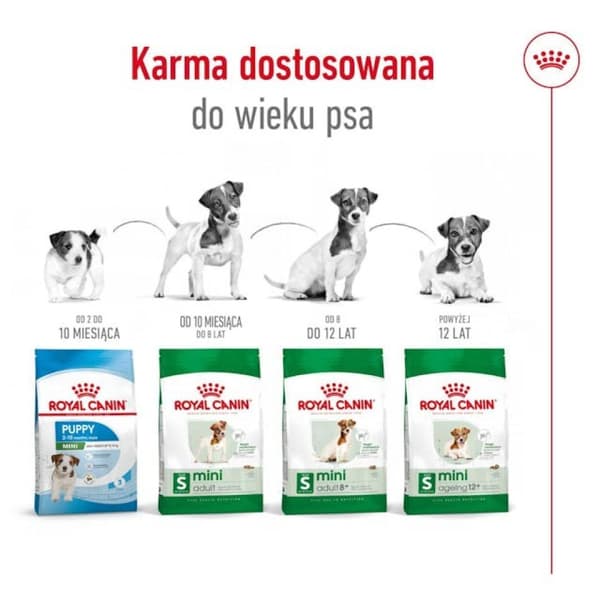 Royal Canin SHN Mini Adult 8 kg torrfoder för hundar