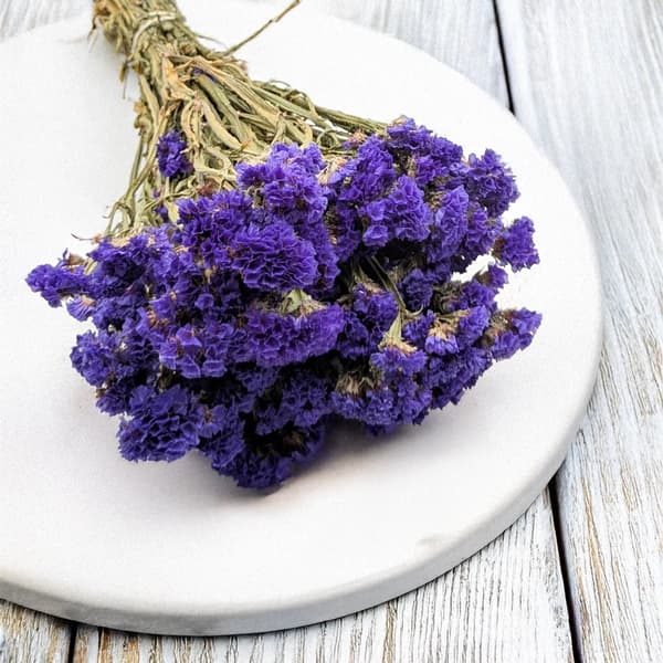 Limonium sinuatum - violetti