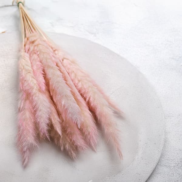 Mini Pampas Græs - Lyserød