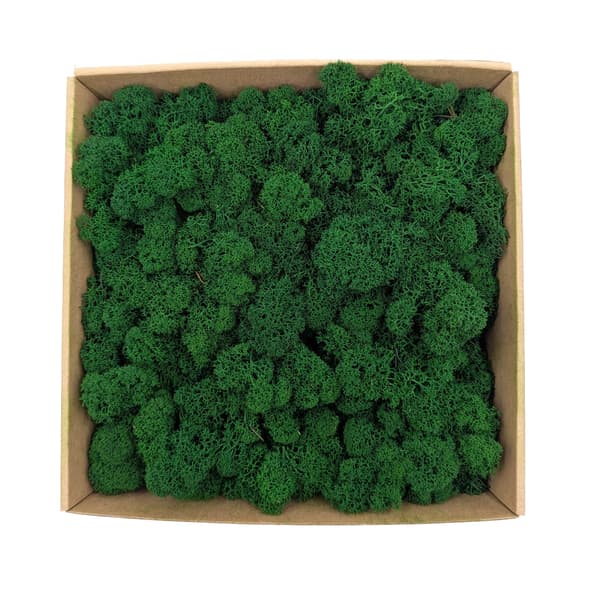 Renmossa - Alpin - Rensad - Skogsgrön 250g NETTO
