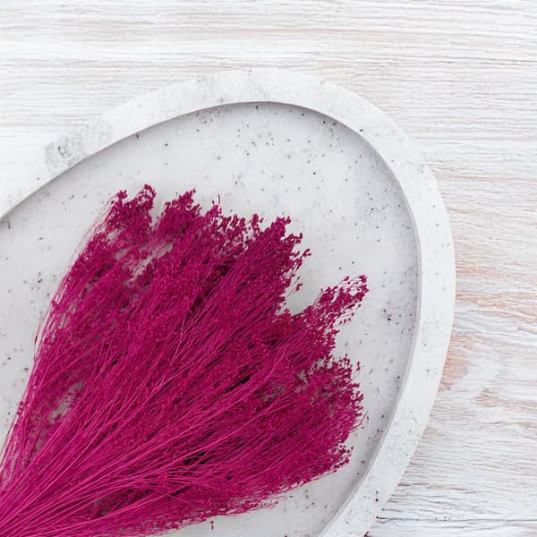 Tørret kostblomst - Kost - Fuchsia