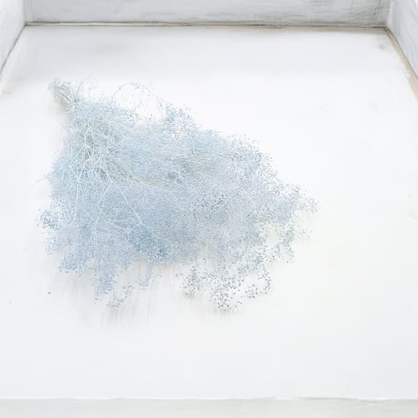 Stabiliseret plaster MINI - (gypsophila) - Blå