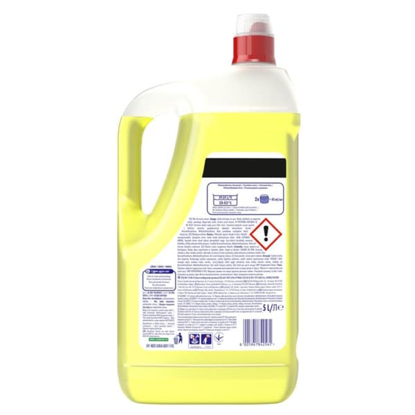 FAIRY PGP HDW Sitruna 5L