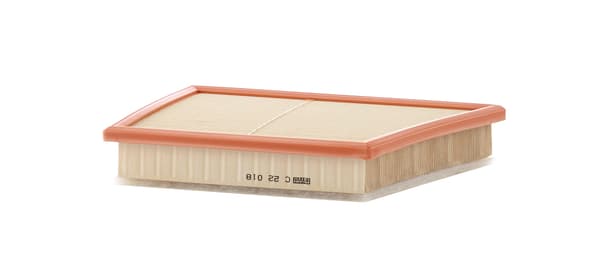 LUFTFILTER C22018 MANN