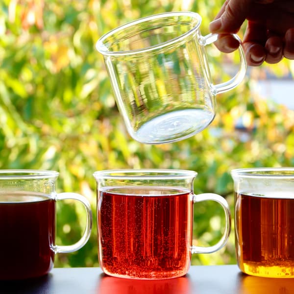 GLAS TIL VINTERGLØGG 450 ml SÆT MED 4 IDEEL TIL KAFFE
