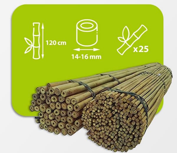 Bambustolpar 120 cm 14/16 mm / 25 st