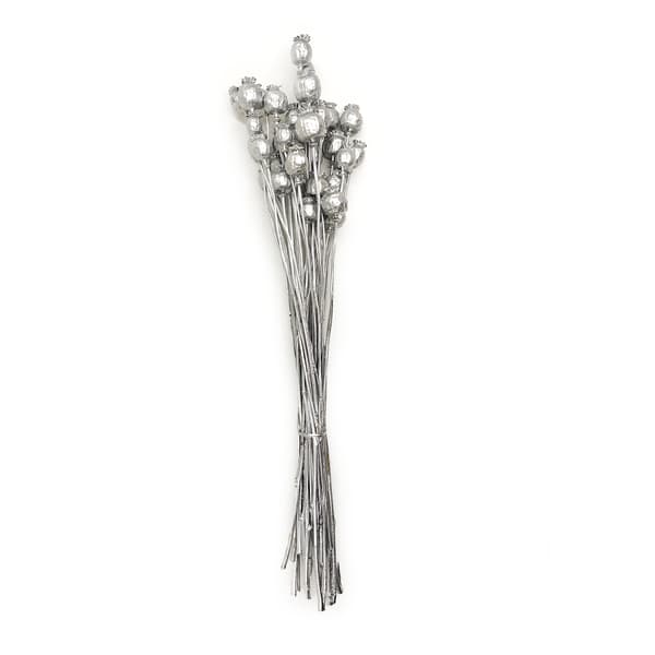 Torkade vallmofrön (Papaver) - Silver