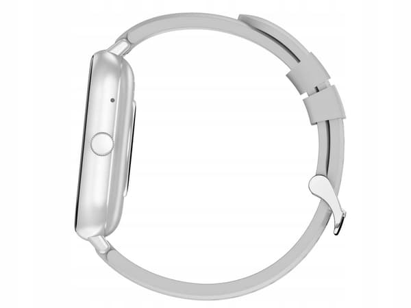 Smartwatch ZL54CJ ur grå (50) GAB_A