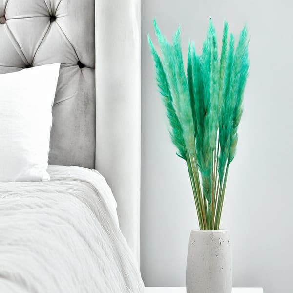 Mini Pampas-ruoho - Azuuri