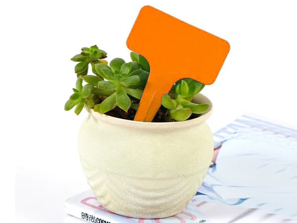 Etiketter TIL planter 50 STK (200)/125 GAB_A