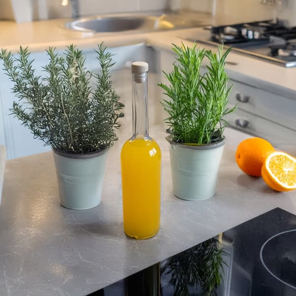 5x FENICE glasflaskor 500ml med kork för likörer, vinflaskor 0,5l