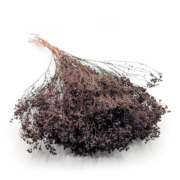 Tørret kostblomst - Kost - Chokolade