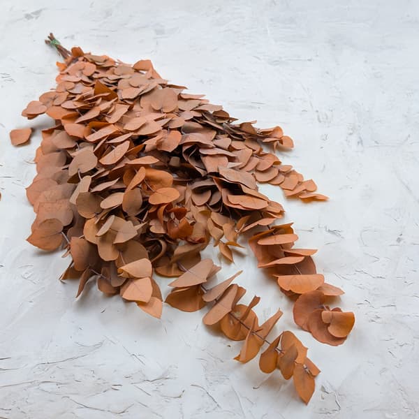 Stabiliserad eukalyptus - Stuartiana - Apelsin