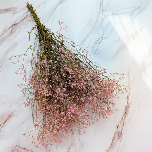 Stabiliserad Gypsophila - Pastellrosa
