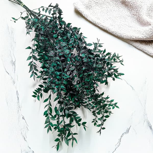 Stabiloitu Ruscus - (Ruscus) - Vihreä