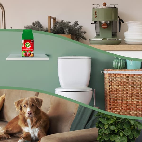 Air Wick Fresh Gräu viini ja mulled 250