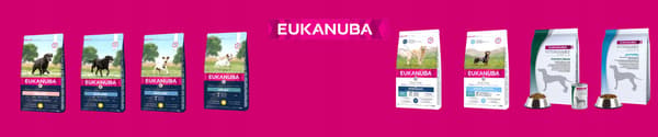 Eukanuba torrfoder för hundar 7,5 kg Cocker Spaniel kyckling