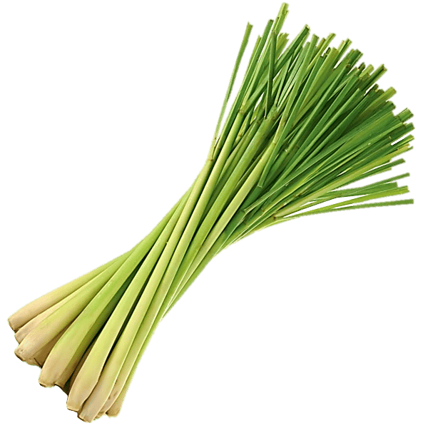 Citrongräs eterisk olja 1000ml partihandel aromaterapi