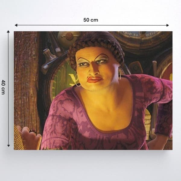 Målning med siffror med ram Shrek Doris 50x40 cm
