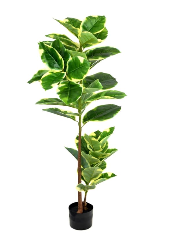 KUNSTIG FIGEN, FICUS ~ 120 cm nr. #5