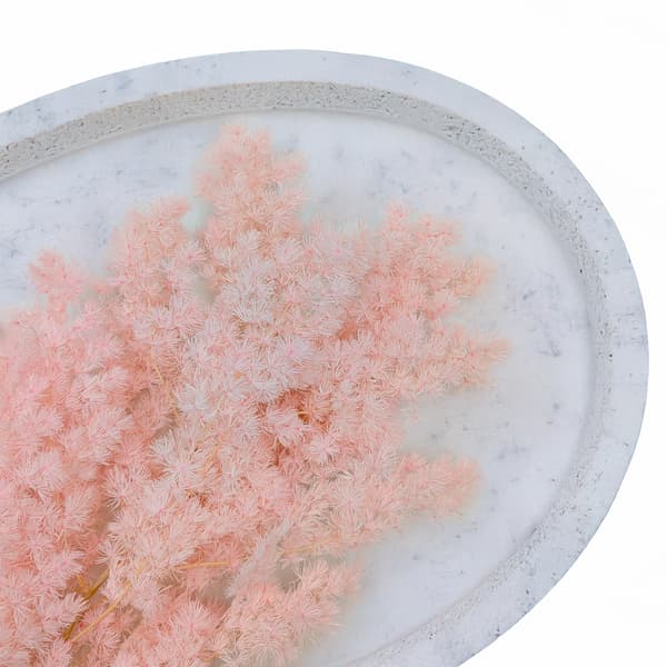 Stabiliseret asparges - Ming-bregne - Pastelrosa