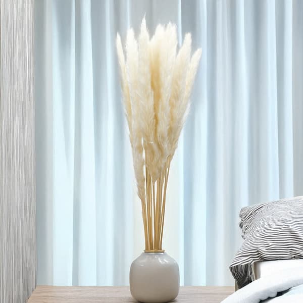Mini Pampas Grass - Valkaistu
