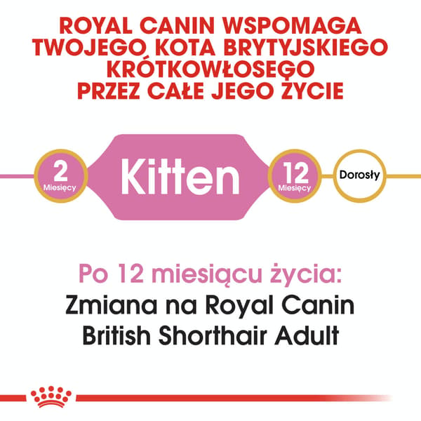 Royal Canin Brit Shorthair torrfoder för katter 2 kg