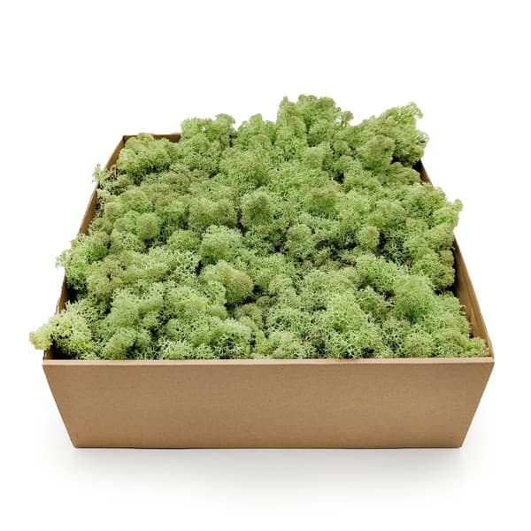 Renmossa - Norge - Mintgrön 50g NETTO