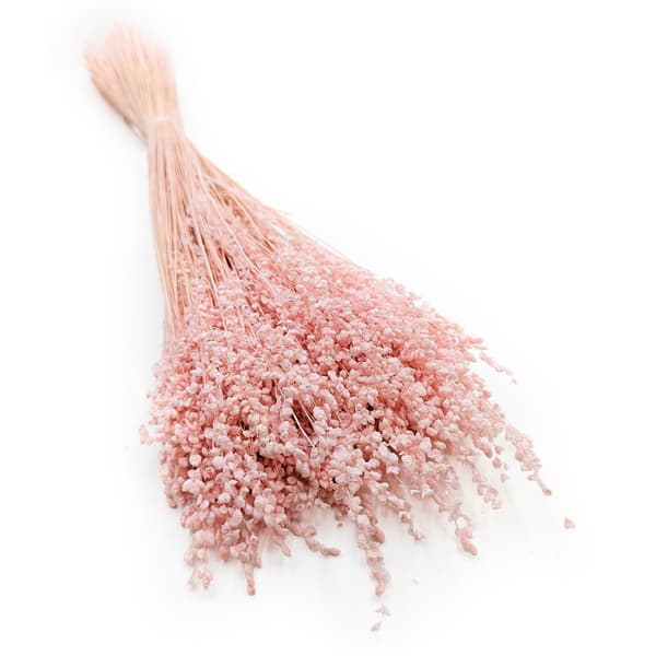 Briza Minima - Tørret Mini - Pink