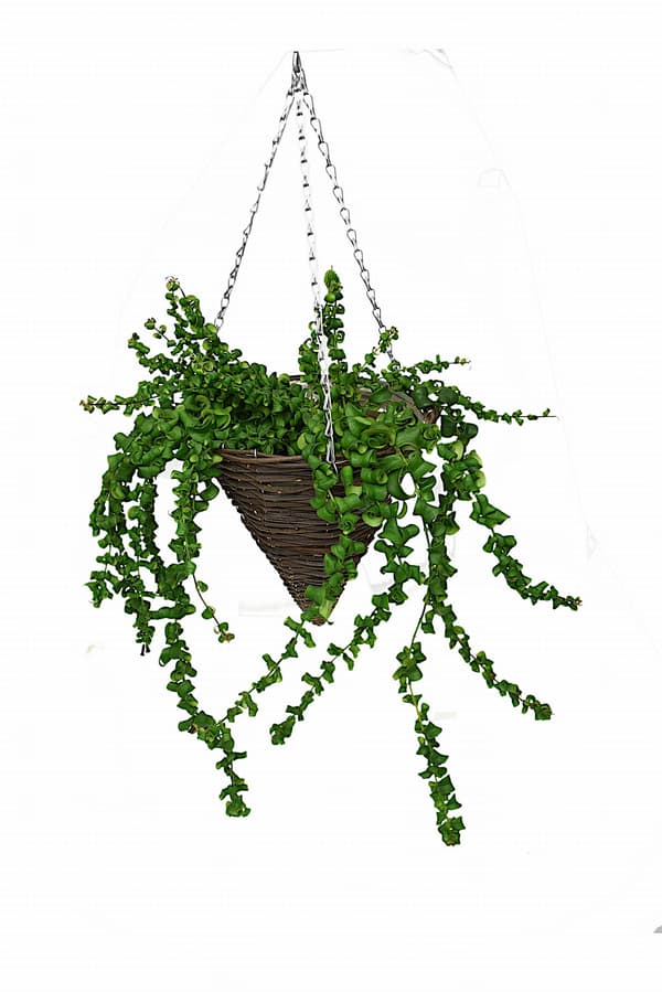 Hängande blomkorg 1203