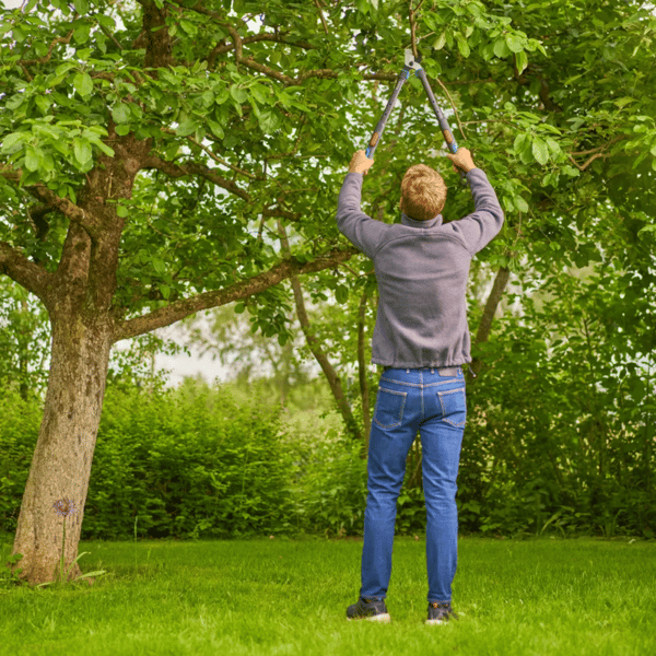 Teleskopsaks til grene Gardena TeleCut Pro S 12040
