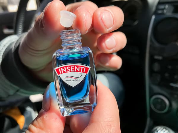 MOJE AUTO - Insenti Wood - New Car 8ml