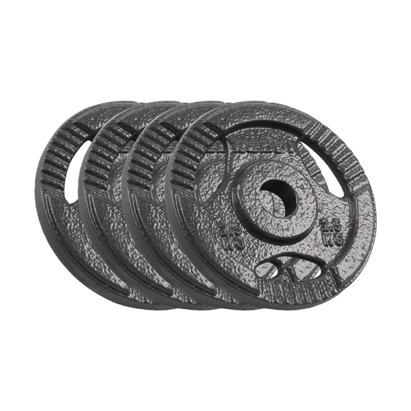 Rebel støbejern vægtskive sæt 4x2,5 kg 10 kg hul 31 mm med greb